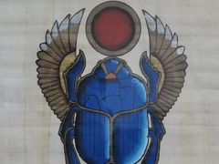 -上海昆虫博物馆