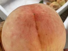 -南汇新场正宗水蜜桃采摘