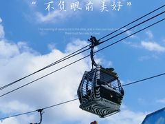 -广州长隆野生动物世界