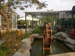 -花溪雨·森林餐厅(石基店)