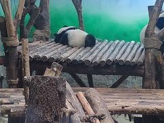 -南宫五洲植物乐园