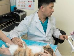 -美迦爱-牙专科·兔科·骨科诊疗中心(北苑店)