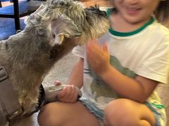 -西安浐灞艾美酒店·汉江餐厅·火锅