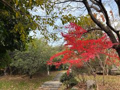 -武汉园博园(武汉自然博物馆)