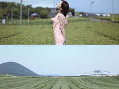 -雪绿茶博物馆