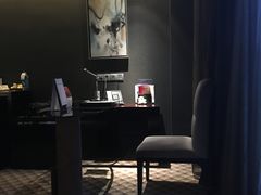 -常州环球恐龙城维景国际大酒店