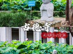 -古德寺