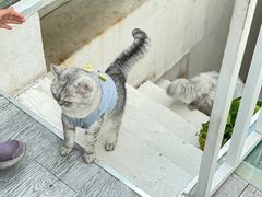 -小时光咖啡馆(北锣鼓巷店)