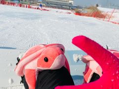 -八达岭滑雪场
