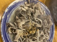 羊散丹-金生隆(六铺炕店)