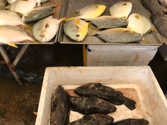 -重振华中蔬菜批发市场(重庆中路店)