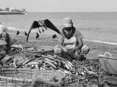 -尼甘布海鲜市场