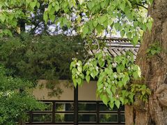 -苏州文庙(姑苏区)