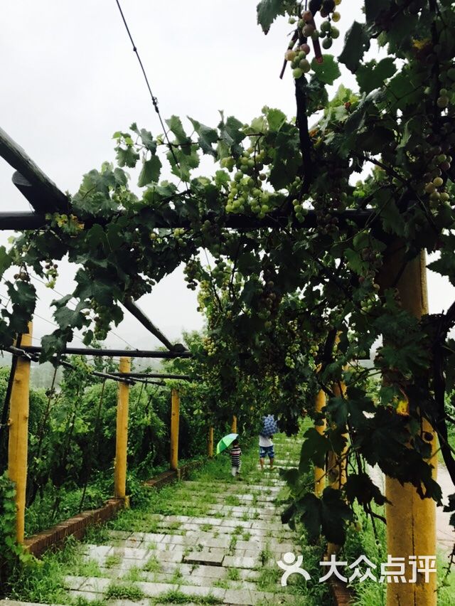 沐恩格林四季农场图片 - 第8张