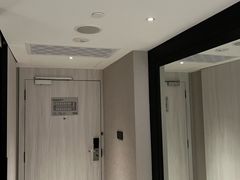 -新加坡乌节希尔顿酒店 (SG Clean)