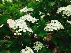 意大利农场-意大利农场度假村