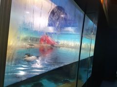 -海合安武汉极地海洋公园