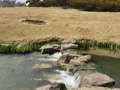 -南京珍珠泉风景区