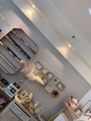 -雪儿·YuKi美甲美睫皮肤管理Salon