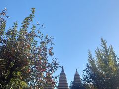 -北京石刻艺术博物馆(五塔寺)