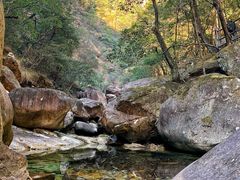 -石台牯牛降景区