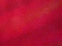 -荔湾区儿童公园