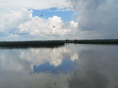 -卧龙湖