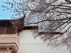 -江宁织造博物馆