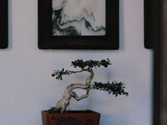 -个园
