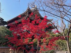 -龙华寺