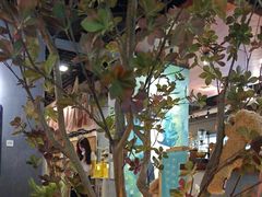 -咖法森林·咖啡  酒吧(天河店)