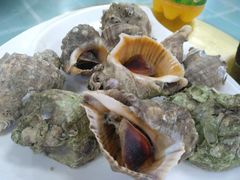 -四海蒸鲜蒸汽海鲜自助(北戴河店)