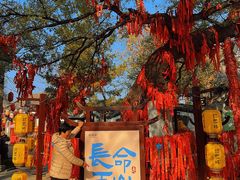 -杨家埠民间艺术大观园