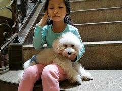 -more than meow吴止猫主题餐厅(承德 中船汇店)