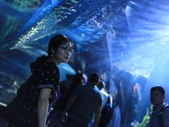 -暹罗海洋世界