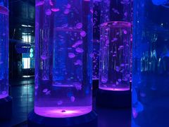 -海合安成都极地海洋公园