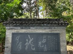 -九龙寨城公园