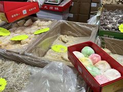 -中国农业博物馆