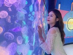 -烟台海昌鲸鲨海洋公园