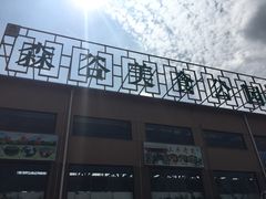 -森谷美食公园(杨行店)