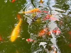 -寂照庵