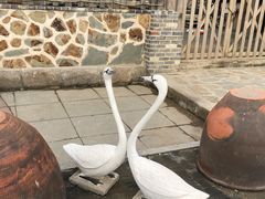 -烟墩角天鹅湖