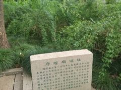 -上海方塔园