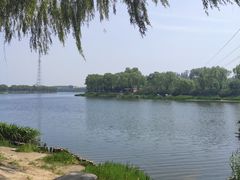 -亲兄弟真人CS团建拓展基地