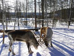 -北极村旅游风景区