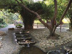 -成都市活水公园