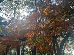 -虞山风景区