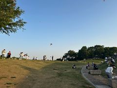 -滆湖低碳生态公园