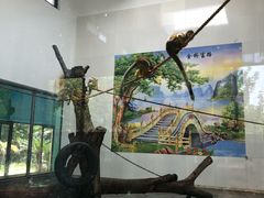 -西安秦岭野生动物园