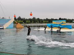 -秦皇岛乐岛海洋王国